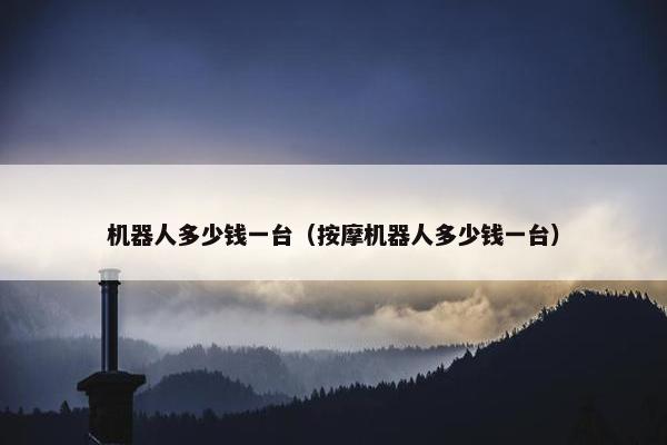 机器人多少钱一台（按摩机器人多少钱一台）