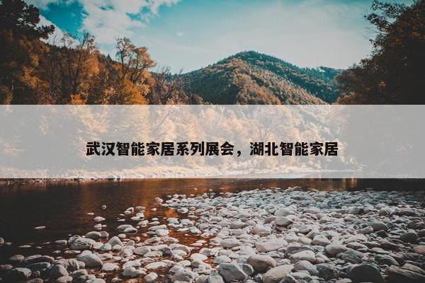 武汉智能家居系列展会，湖北智能家居