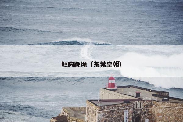 触胸跳绳（东莞皇朝）