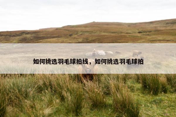 如何挑选羽毛球拍线，如何挑选羽毛球拍
