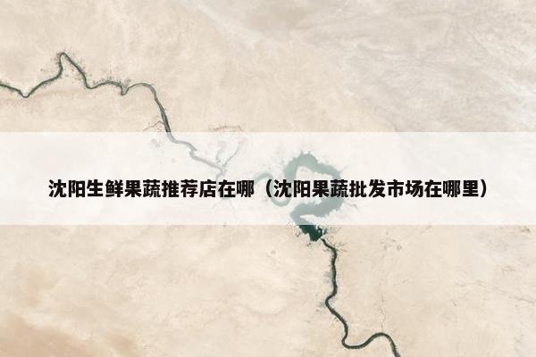 沈阳生鲜果蔬推荐店在哪（沈阳果蔬批发市场在哪里）