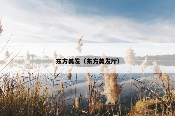 东方美发（东方美发厅）