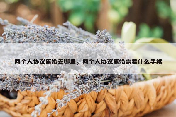 两个人协议离婚去哪里，两个人协议离婚需要什么手续