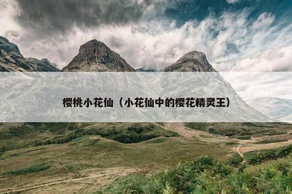 樱桃小花仙（小花仙中的樱花精灵王）