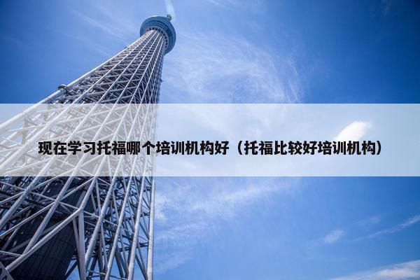 现在学习托福哪个培训机构好（托福比较好培训机构）