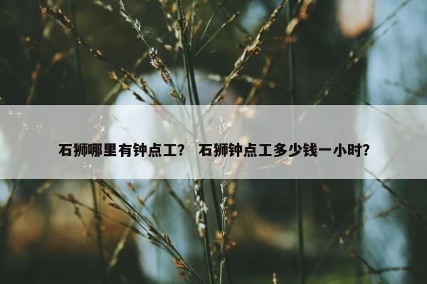 石狮哪里有钟点工？ 石狮钟点工多少钱一小时？