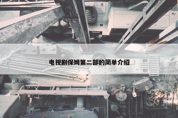 电视剧保姆第二部的简单介绍