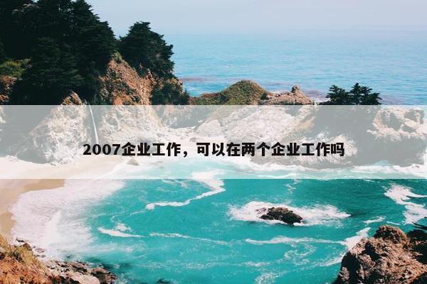 2007企业工作，可以在两个企业工作吗