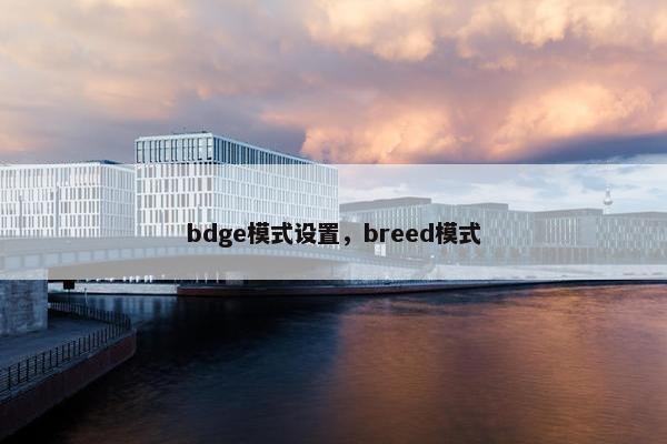 bdge模式设置，breed模式