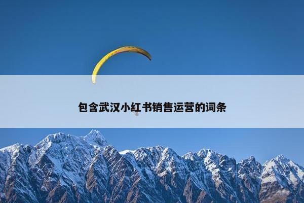 包含武汉小红书销售运营的词条