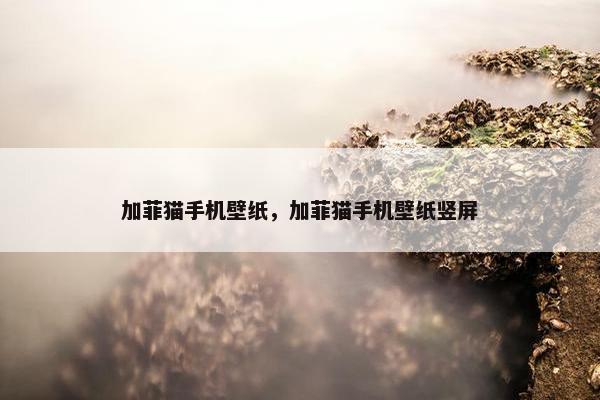 加菲猫手机壁纸，加菲猫手机壁纸竖屏