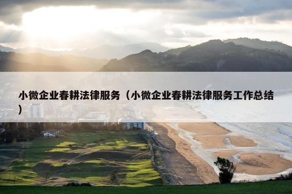 小微企业春耕法律服务（小微企业春耕法律服务工作总结）