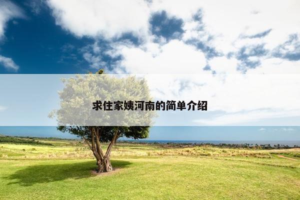 求住家姨河南的简单介绍