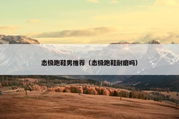 态极跑鞋男推荐（态极跑鞋耐磨吗）