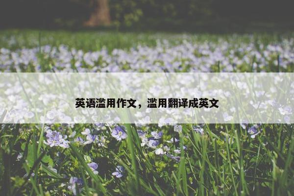英语滥用作文，滥用翻译成英文