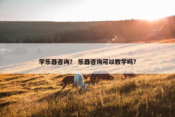 学乐器咨询？ 乐器咨询可以教学吗？