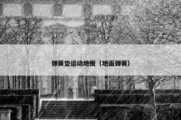 弹簧垫运动地板（地面弹簧）