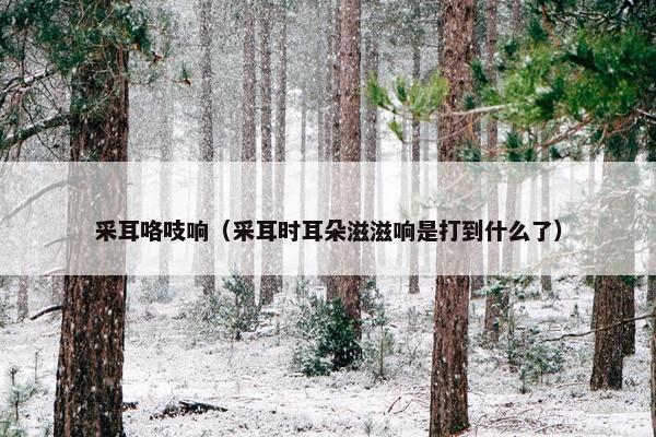 采耳咯吱响（采耳时耳朵滋滋响是打到什么了）