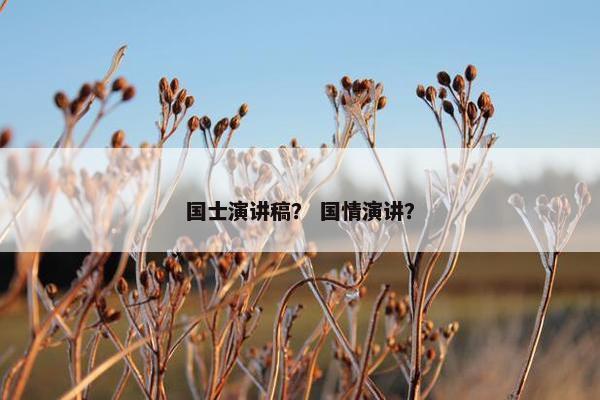 国士演讲稿？ 国情演讲？