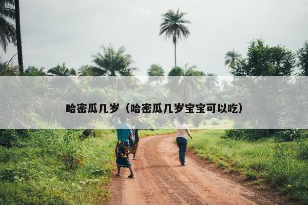 哈密瓜几岁（哈密瓜几岁宝宝可以吃）