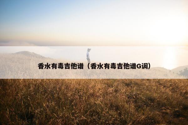 香水有毒吉他谱（香水有毒吉他谱G调）
