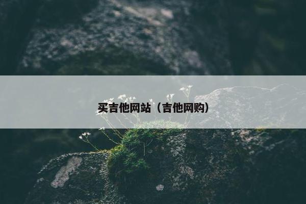 买吉他网站（吉他网购）