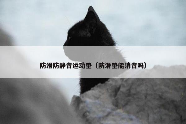 防滑防静音运动垫（防滑垫能消音吗）