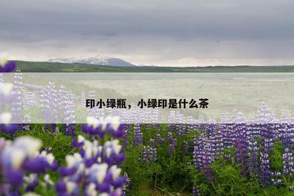 印小绿瓶，小绿印是什么茶