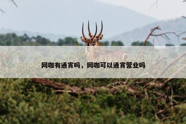 网咖有通宵吗，网咖可以通宵营业吗