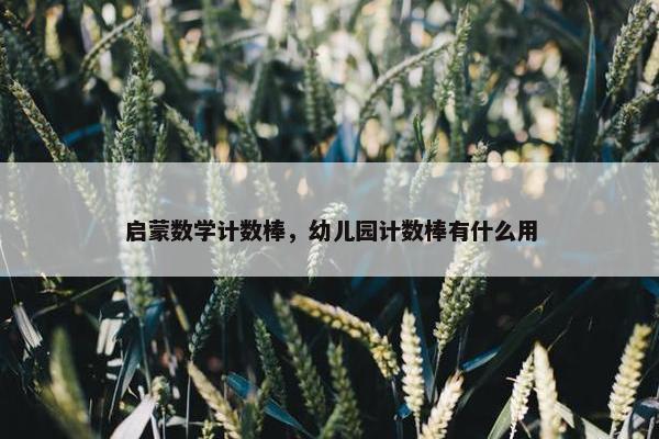 启蒙数学计数棒，幼儿园计数棒有什么用