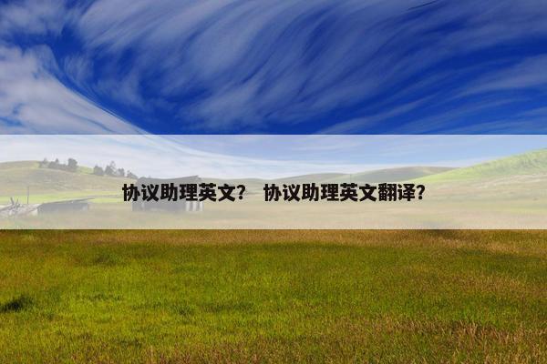 协议助理英文？ 协议助理英文翻译？
