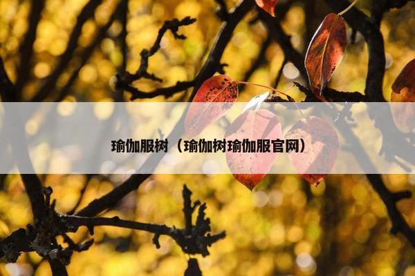 瑜伽服树（瑜伽树瑜伽服官网）