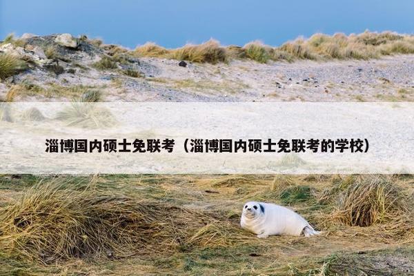 淄博国内硕士免联考（淄博国内硕士免联考的学校）