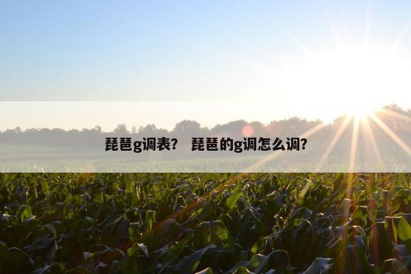 琵琶g调表？ 琵琶的g调怎么调？