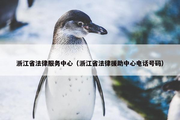 浙江省法律服务中心（浙江省法律援助中心电话号码）