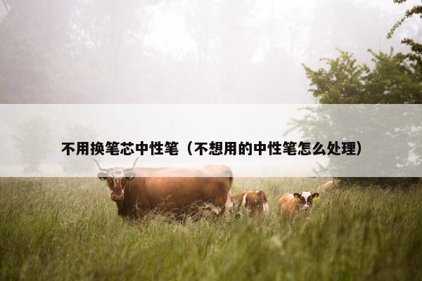 不用换笔芯中性笔（不想用的中性笔怎么处理）