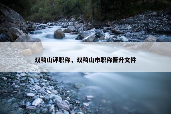 双鸭山评职称，双鸭山市职称晋升文件