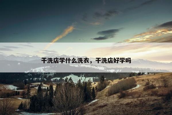 干洗店学什么洗衣，干洗店好学吗