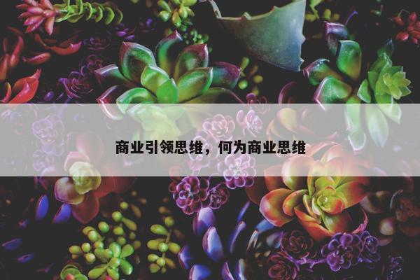 商业引领思维，何为商业思维