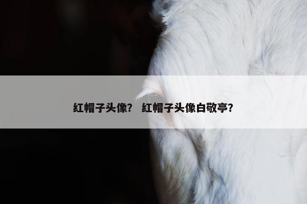 红帽子头像？ 红帽子头像白敬亭？