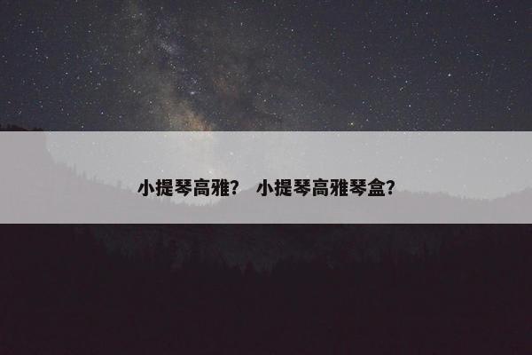 小提琴高雅？ 小提琴高雅琴盒？