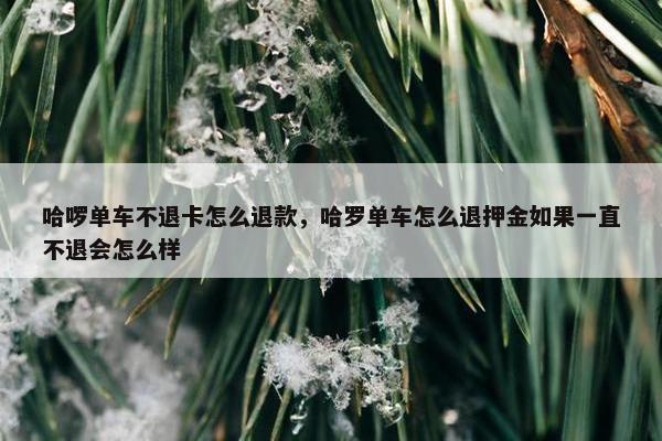 哈啰单车不退卡怎么退款，哈罗单车怎么退押金如果一直不退会怎么样