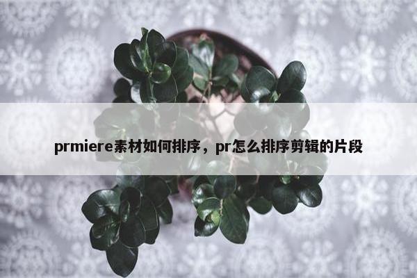 prmiere素材如何排序，pr怎么排序剪辑的片段