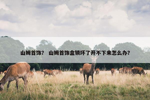 山姆首饰？ 山姆首饰盒锁坏了开不下来怎么办？