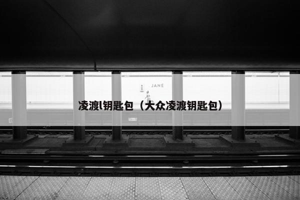 凌渡l钥匙包（大众凌渡钥匙包）
