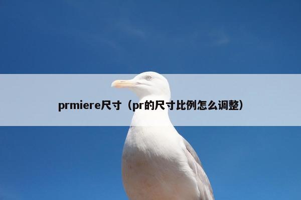 prmiere尺寸（pr的尺寸比例怎么调整）