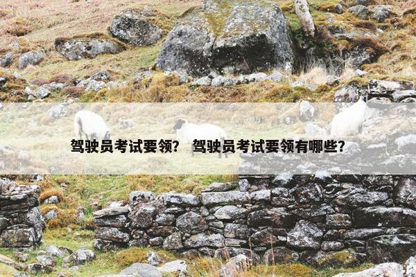 驾驶员考试要领？ 驾驶员考试要领有哪些？