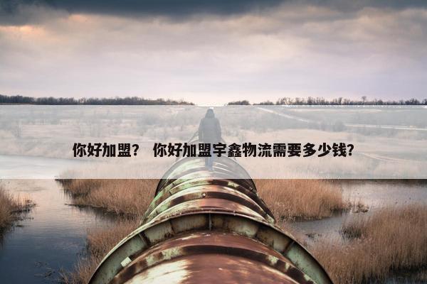 你好加盟？ 你好加盟宇鑫物流需要多少钱？