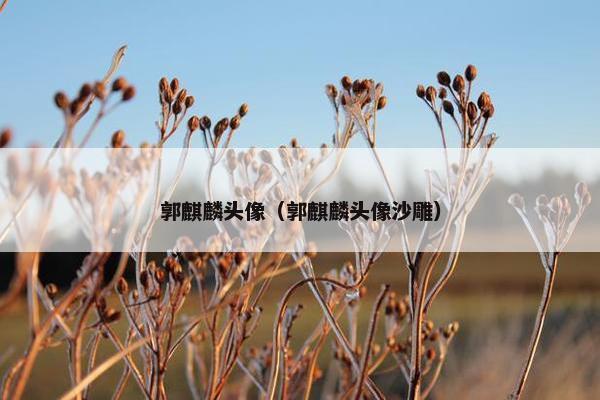 郭麒麟头像（郭麒麟头像沙雕）