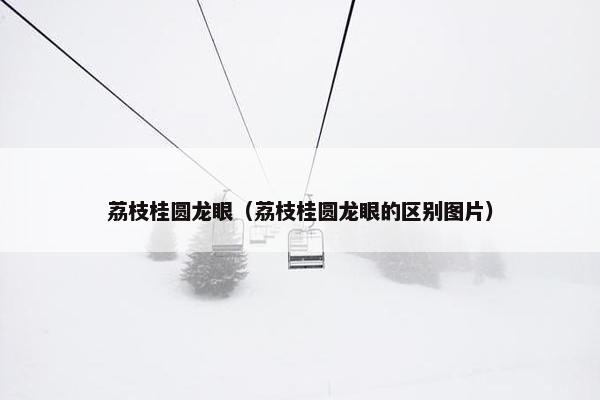 荔枝桂圆龙眼（荔枝桂圆龙眼的区别图片）